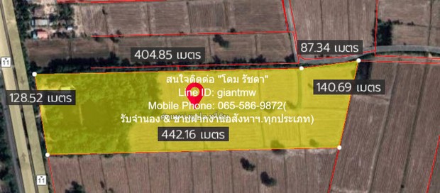 พื้นที่ดิน //ปรับลดราคา//ขายที่ดิน พร้อมสิ่งปลูกสร้างติดทางหลวงหมายเลข 11 (อ.วังทอง จ.พิษณุโลก) 36-3-99.7 ไร่, ราคา 25,159,490 บาท  36 ไร่ 3 Ngan 99 SQ.WA  25159490 บาท. โครตถูก พิษณุโลก   