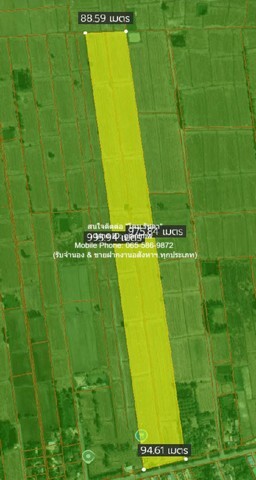 พื้นที่ดิน ขายที่ดินทุ่งนาแปลงใหญ่ติดถนนใหญ่ อ.วังทอง จ.พิษณุโลก 53-3-98 ไร่, 11,878,900 บาท  เงียบสงบ เป็นที่ดินทรงสี่เหลี่ยมผืนผ้าแปลงใหญ่ ติดถนนลาดยาง (กว้าง 6 ม.) เหมาะสำหรับคนที่ต้องการนำไปพัฒนาโครงการสไตล์โคกหนองนา และบ้านสวนท่ามกลางธรรมชาติ