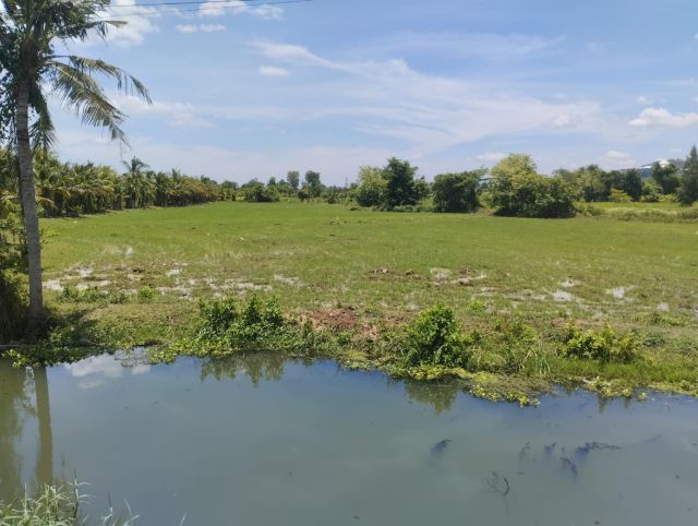 ขายที่ดิน ทำเลดี ติดถนน  ต.เกาะพลับพลา อ.เมือง  จ.ราชบุรี