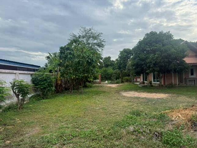 ขายที่ดินพัทยา ทำเลทอง ใกล้ Ocean Marina พร้อมบ้าน 3 งาน ราคา 4.5 ล้าน TP-L1582