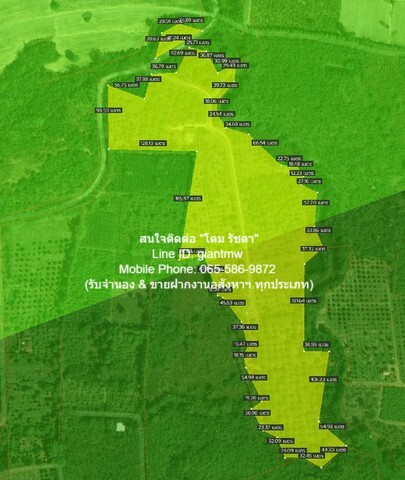 รหัส  DSL-451 ประกาศขาย พื้นที่ดิน ขายที่ดินสวนผลไม้ปลอดสารพิษ (Organic) อ.ประจันตคาม จ.ปราจีนบุรี 57-0-90.4 ไร่, ราคา 57 ล้านบาท ใกล้ ห่างทางหลวงหมายเลข 3649 (ถนนสุวรรณศร) ประมาณ 5 กม. 57000000 THB  90 ตาราง-วา 0 งาน 57 Rai ดีลเด็ด!