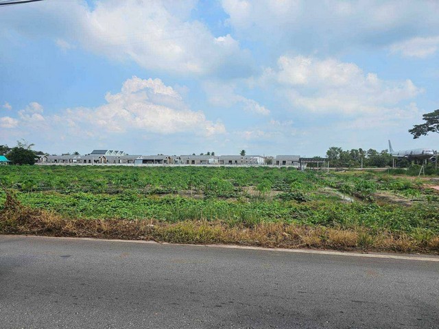 ขายที่เปล่าติดถนนหลักห้า..อำเภอดำเนินสะดวกราชบุรี บรรยายกาศดีมาก ติดคลองดำเนิน