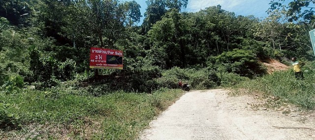 ขายที่เปล่าภูเก็ต...ที่ดินอำเภอกะทู้  ใกล้บ้านสวนล็อคปาล์ม