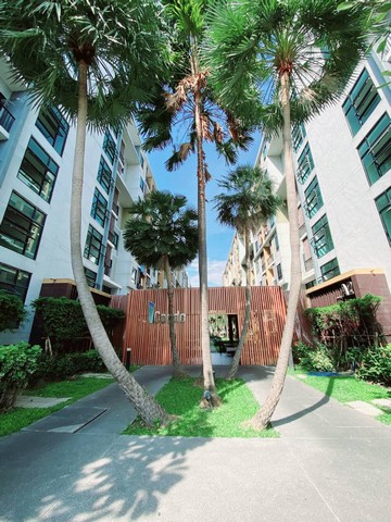 ขายไอคอนโดสุขุมวิท 105  ขายคอนโดลาซาลสุขุมวิท-เฟอร์นิเจอร์ครบพร้อมอยู่