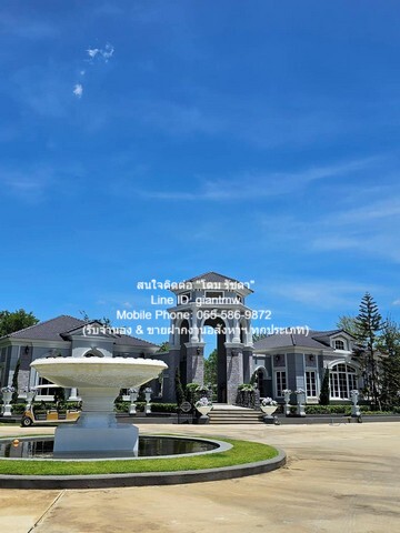 บ้าน ให้เช่าบ้านหรูสไตล์อังกฤษ ม.เพรสทีจ ฟิจเจอร์-รังสิต  0 ไร่ 0 NGAN 51 ตร.ว.    ส ว ย ปทุมธานี   