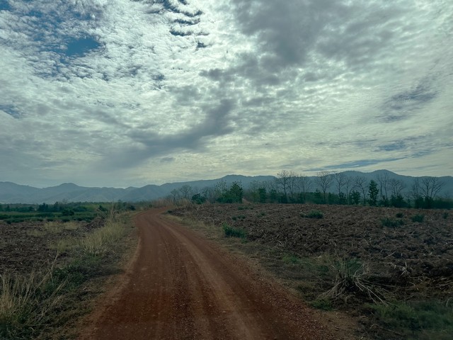 ขายที่ดินแบ่งจัดสรร เริ่ม250ตรว. 105,000บ. ฟรีโอน สวนมะขาม ถนน น้ำ ไฟฟ้า ต.บ้านกลาง อ.หล่มสัก เพชรบูรณ์
