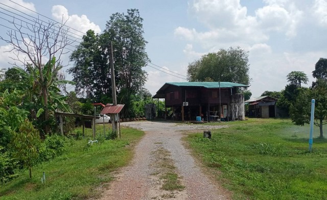 ขายที่ดินสวนทุเรียนจังหวัดแพร่-แหล่งน้ำการเกษตร มีสระ, มีน้ำจากคลอง ไม่เคยแห้ง