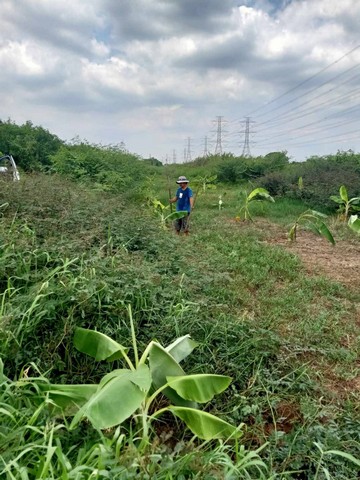 ขายที่ดิน 100 ตรว. ใกล้โลตัสคลอง7 ธัญบุรี 1,500,000 บาท