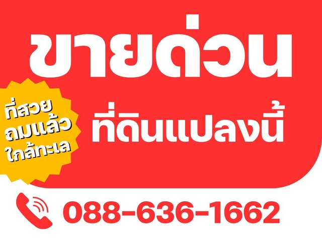 ที่ดิน ไม่เปลี่ยว มีเพื่อนบ้าน ใกล้ทะเล แกลง ระยอง หาดแหลมแม่พิมพ์ ที่ดินถมแล้ว แปลงมุม ความสะดวกครบครัน