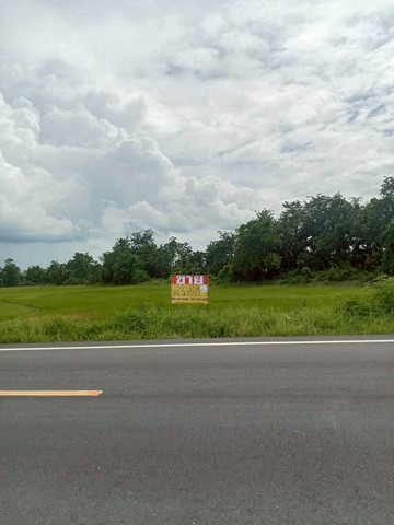 ที่ดินเปล่า15 -0-65 ไร่   หนองนมวัว ลาดยาว นครสวรรค์  ติดวิวเขา อากาศดี  ZK523