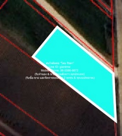 ID :  DSL-364.7 SALE ขาย พื้นที่ดิน ขายที่ดินไร่สวนทางการเกษตร (ติดถนน และติดเขา) พท. 400 sq.wa  550000 B. ราคาดีสุด