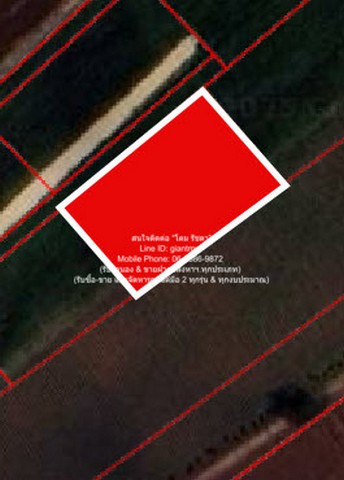 ที่ดิน ขายที่ดินไร่สวนทางการเกษตร (ติดถนน และติดเขา) 0 ตารางวา 0 งาน 1 Rai  530000 บาท ไม่ไกลจาก จุดชมวิวเขาช่องลม เขาช่องลม NEW