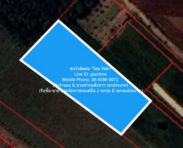 พื้นที่ดิน ขายที่ดินไร่สวนทางการเกษตร (ติดถนน และติดเขา) ทำเลน่าอยู่ อุทัยธานี   