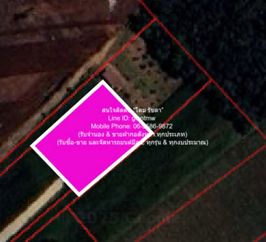 พื้นที่ดิน ขายที่ดินไร่สวนทางการเกษตร (ติดถนน และติดเขา) บรรยากาศร่มรื่น ที่ดินผังสีเขียว (ไม่สามารถทำโรงงานได้) เพราะฉะนั้น จะไม่มีมลภาวะ หรือของเสียอย่างแน่นอน อยู่ติดถนนคอนกรีต (ทางสาธารณะประโยชน์) ผ่านหน้าที่ดิน และติดตีนเขา เหมาะสำหรับทำบ้านสวนเ