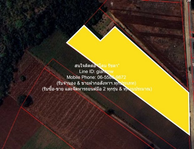 ที่ดิน ขายที่ดินไร่สวนทางการเกษตร (ติดถนน และติดเขา) หั่นราคา อุทัยธานี   