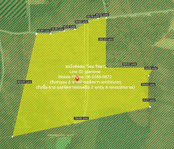 พื้นที่ดิน ขายที่ดินสวนยางพาราแปลงใหญ่ 326-3-5.5 ไร่ (ใกล้ ถ.ชลบุรี-แกลง) ต.เขาซก อ.หนองใหญ่ จ.ชลบุรี ราคา 327 ล้านบาท (1 ล้านบาท/ไร่) 6 ตร.ว. 3 ngan 326 RAI    สะดวกต่อการเดินทาง ชลบุรี   