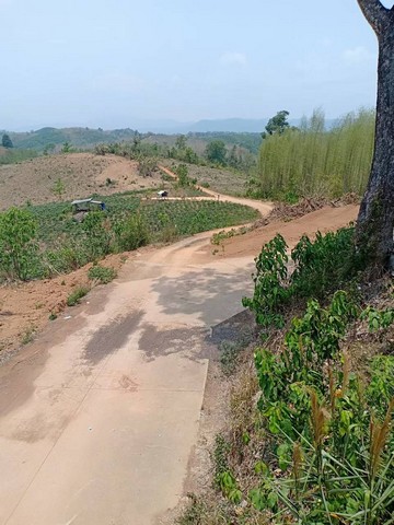 พื้นที่ดิน ที่ดิน ต.ปอน อ.ทุ่งช้าง จ.น่าน  พ.ท. 408 RAI 1 NGAN 3 ตร.ว. 73400000 บาท   โครตคุ้ม น่าน   