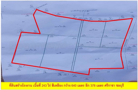 ที่ดิน สร้างโกดัง สร้างโรงงาน เขาคันทรง เนื้อที่ 243 ไร่ ไร่ละ 2.5 ล้าน หุบบอน ต.เขาคันทรง อ.ศรีราชา ชลบุรี