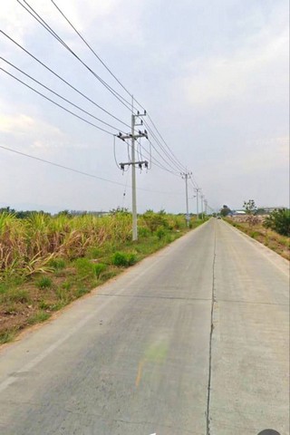 ขายที่ดินหนองไผ่แก้วชลบุรีขายที่ดิน 124 ไร่ ผังเหลือง ตำบลหนองไผ่แก้ว บ้านบึง ชลบุรี