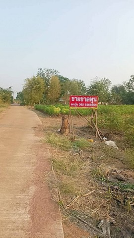 ขายที่ดินกาญจนบุรี ขายที่ด่านมะขามเตี้ย  ขายที่ดินติดทางสาธารณะ ที่ดินวิวภูเขา ต.กลอนโด อ.ด่านมะขามเตี้ย จ.กาญจนบุรี