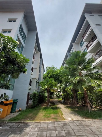 ให้เช่า คอนโดเดอะคิวบ์ แจ้งวัฒนะ ใกล้BTSสถานีโทรคมนาคมแห่งชาติ 200 เมตร