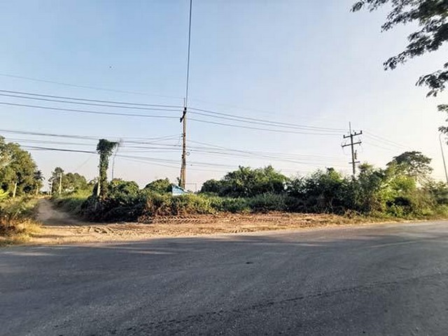 ขาย ที่ดินเปล่า บึงสามัคคี ถนน สลกบาตร-บึงสามัคคี กำแพงเพชร  PTT00181