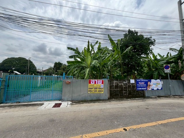 ขายที่ดินแปลงสวย  265 ตารางวา    สิรินธรซอย 2 แยก 11  ถมแล้วพร้อมสำหรับการพัฒนา    ทำเลศักยภาพสูง  ZTK274