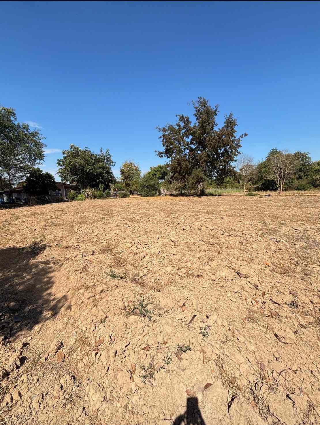 ขายที่ดินแปลงสวย ทำเลทอง อำเภอพนัสนิคม จังหวัดชลบุรี