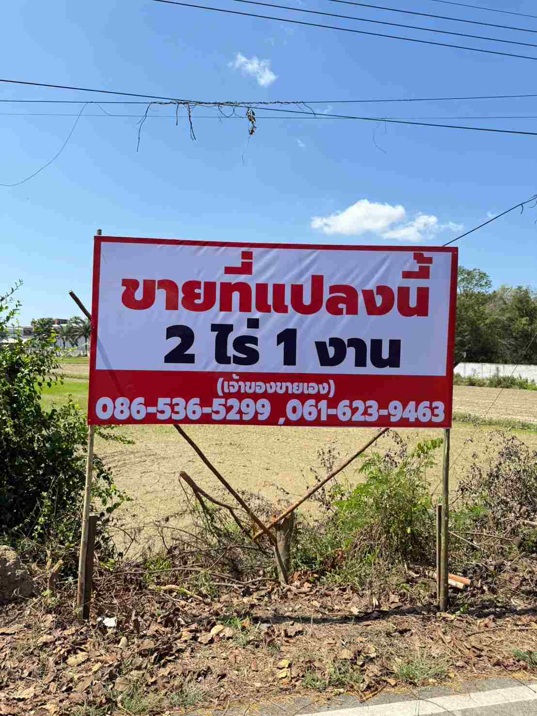 ขายที่ดินเปล่า ทำเลดี ใกล้ถนนเพชรเกษม – บ้านลาด เพชรบุรี