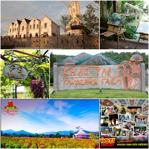 10 ที่เที่ยวเขาใหญ่ ไปสูดอากาศบริสุทธิ์-เดินเล่นเพลินๆ